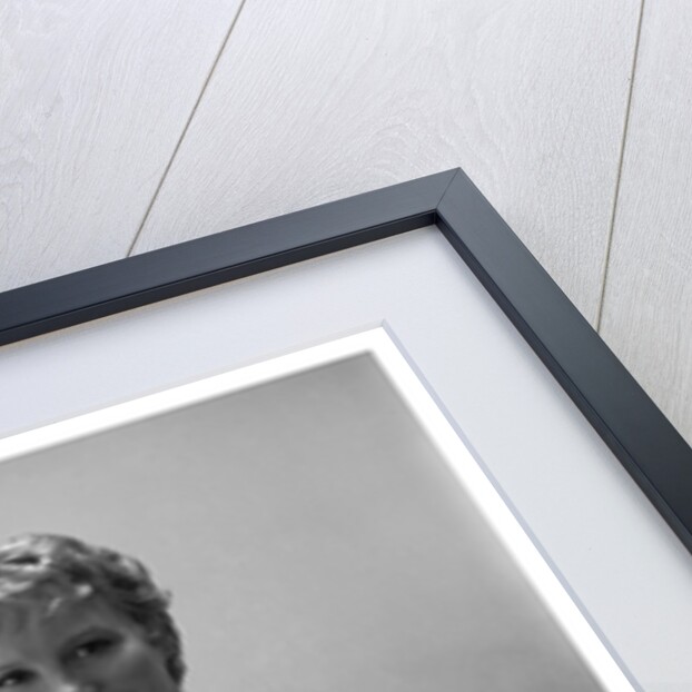 Petula Clark by Harry Hammond