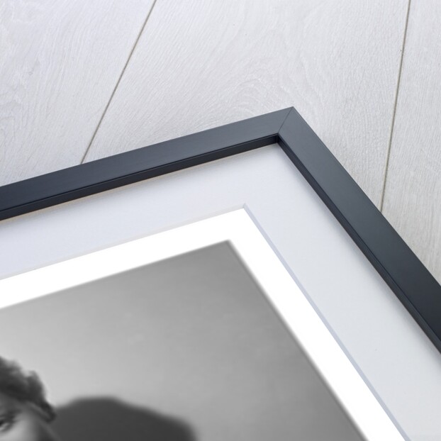 Petula Clark by Harry Hammond
