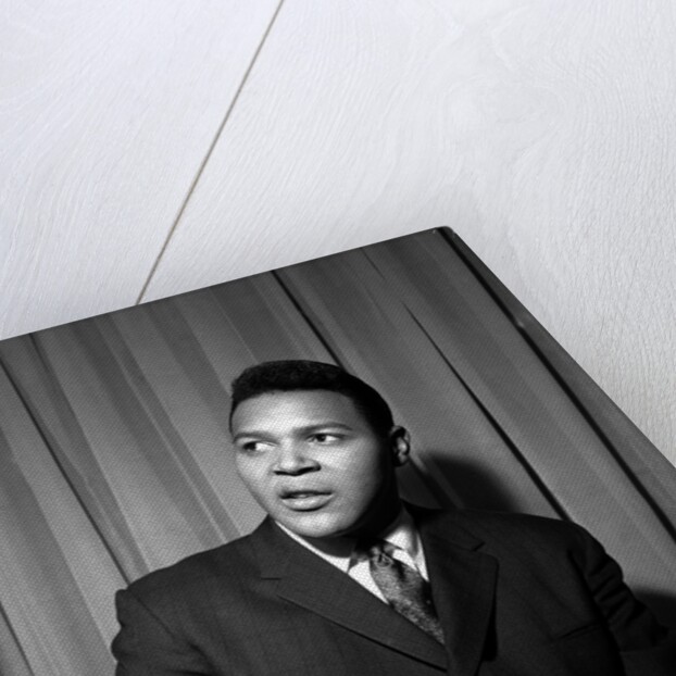 Chubby Checker by Harry Hammond