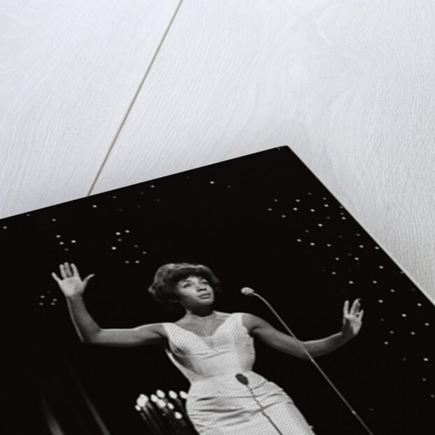 Shirley Bassey by Harry Hammond