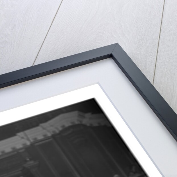 Tommy Steele by Harry Hammond