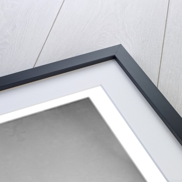 Guy Mitchell by Harry Hammond