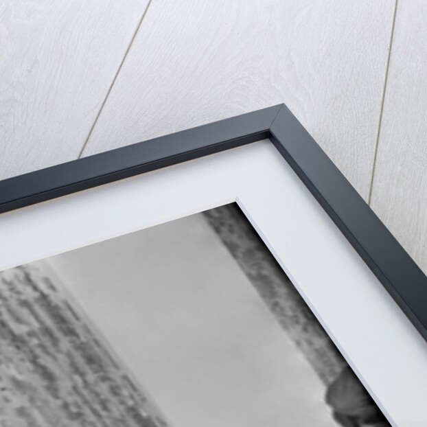 Eartha Kitt by Harry Hammond