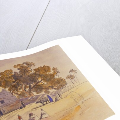 Minyeh by Edward Lear