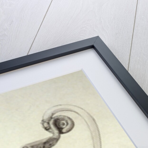 Design for a hot water jug with serpent handle by Jean-Jacques Boileau