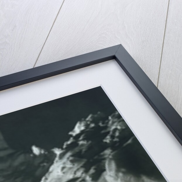 A Dog Team Resting by Herbert George Ponting