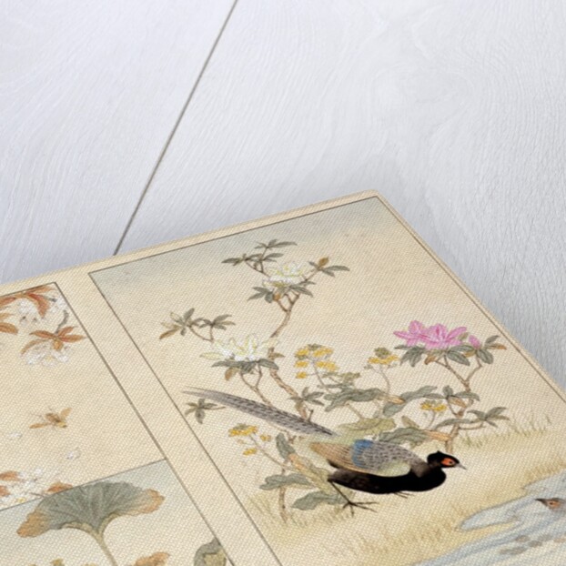 Three prints of birds and flowers by Unknown