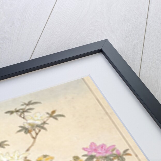 Three prints of birds and flowers by Unknown
