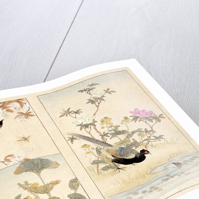 Three prints of birds and flowers by Unknown