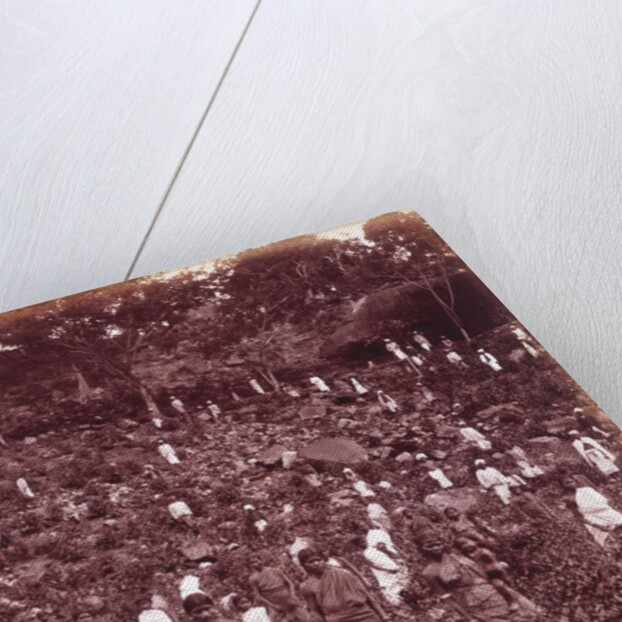 A Tea Estate by Unknown