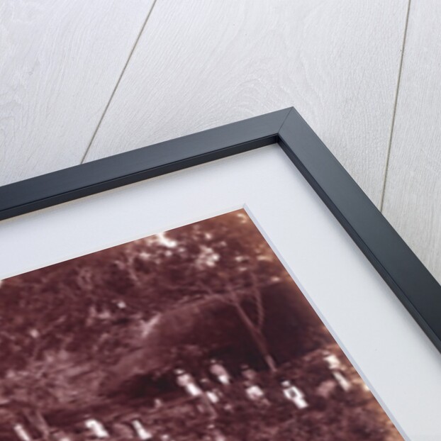 A Tea Estate by Unknown