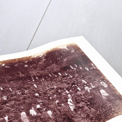 A Tea Estate by Unknown