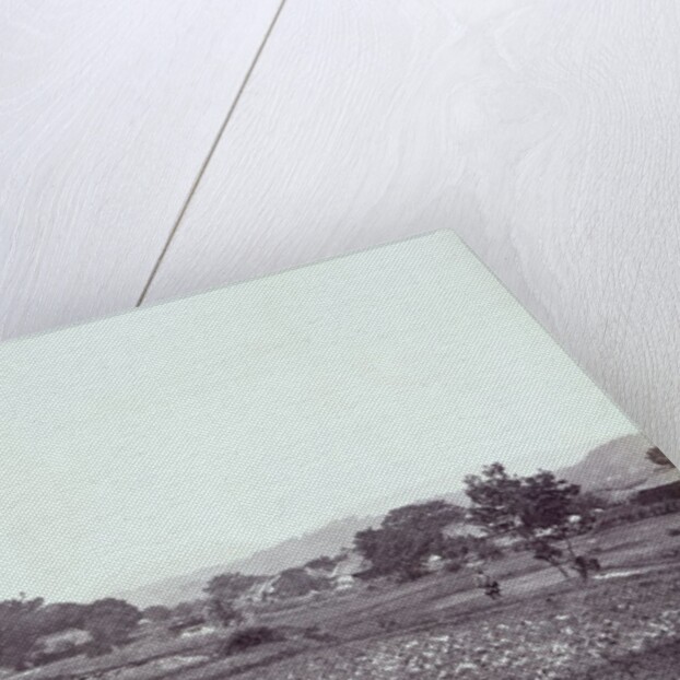 View of Mount Fuji by Felice Beato