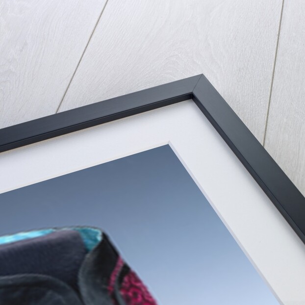 Woman's Jacket. China, early 20th century by Unknown