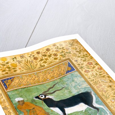 An Indian black buck being led by its keeper by Anonymous