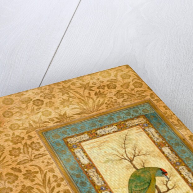 A Himalayan Blue-throated Barbet by Ustad Mansur