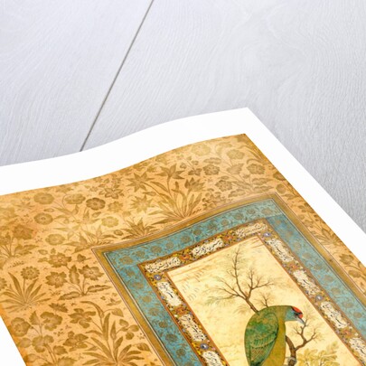 A Himalayan Blue-throated Barbet by Ustad Mansur