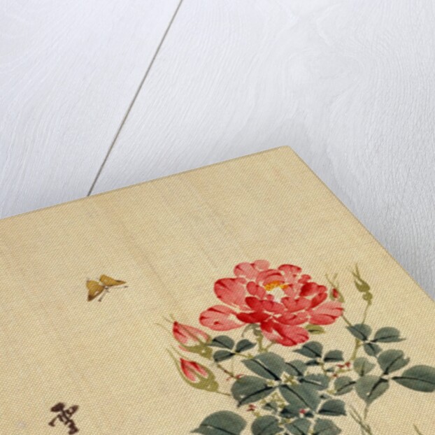 Wild Red Rose Buds, Butterfly and Foliage by Sekkisai