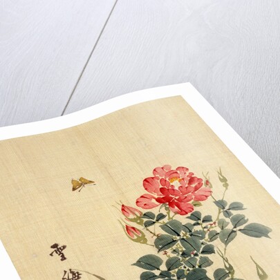 Wild Red Rose Buds, Butterfly and Foliage by Sekkisai