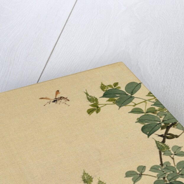 Wasp, Red Flower and Foliage by Seiho