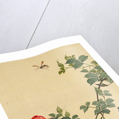 Wasp, Red Flower and Foliage by Seiho