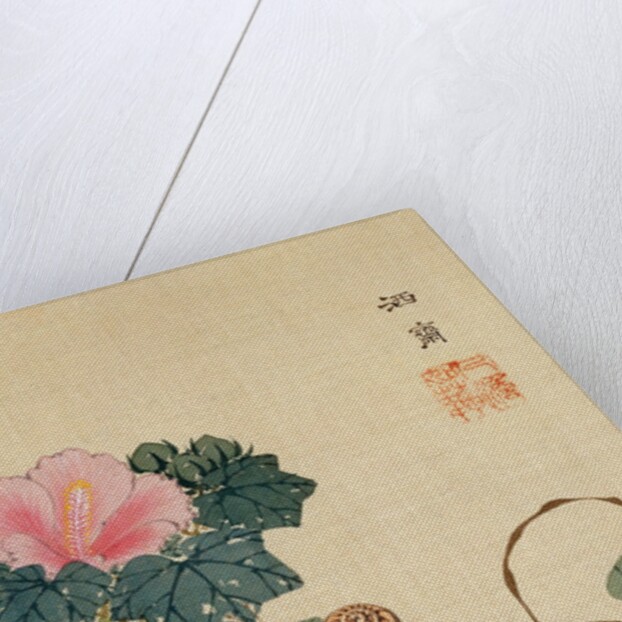 Snail, Pink Flower and Foliage by Shasai