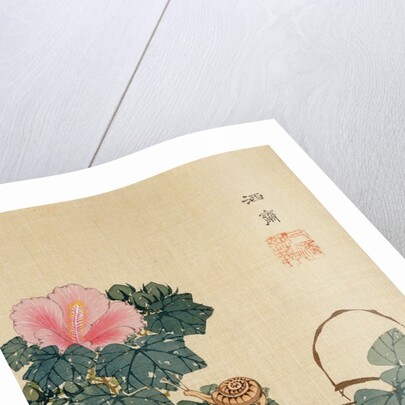 Snail, Pink Flower and Foliage by Shasai