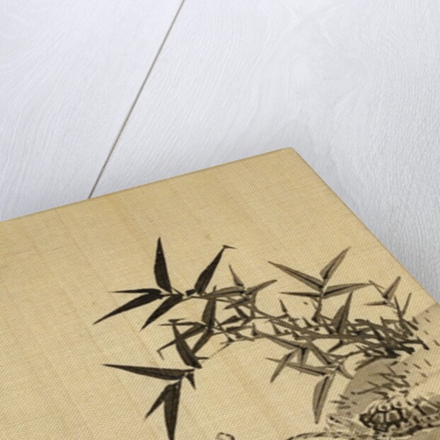 Tortoises and Bamboo by Siuseki