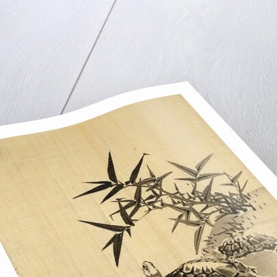 Tortoises and Bamboo by Siuseki