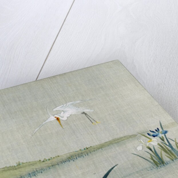 White crested heron flying over a lake with blue and white irises by Unknown