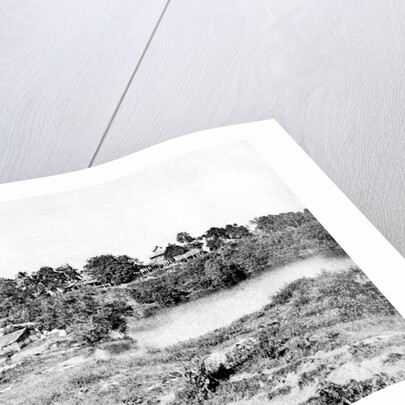 View in Cantonment by Captain Linnaeus Tripe