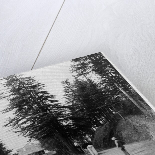 Simla by Samuel Bourne