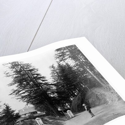 Simla by Samuel Bourne