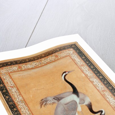A Pair of Cranes by Ustad Mansur