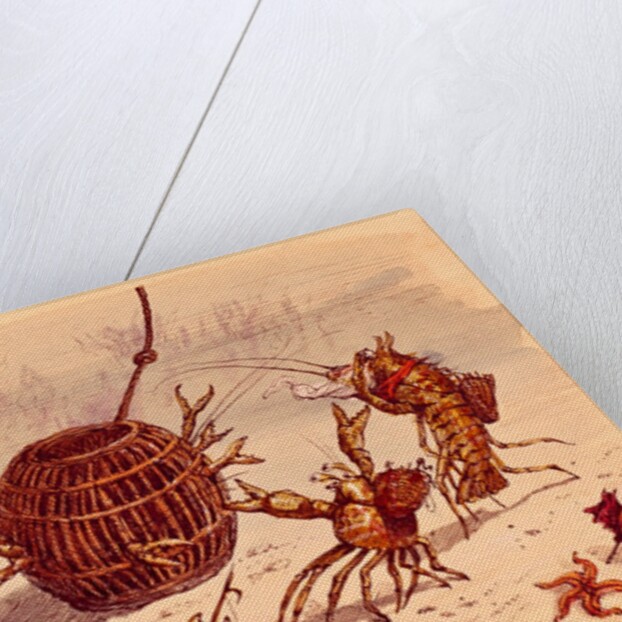 The Crab Pot by Ernest Griset
