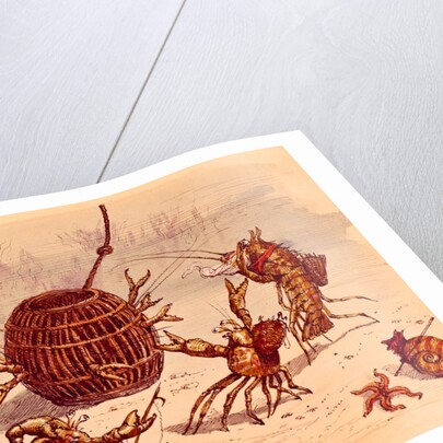 The Crab Pot by Ernest Griset