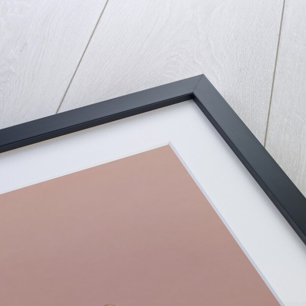 Echelle by Anonymous