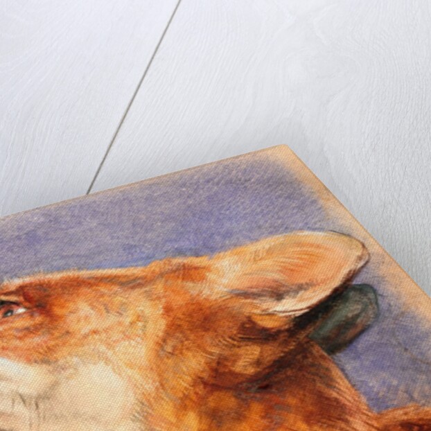 Head of a Fox by John Frederick Lewis