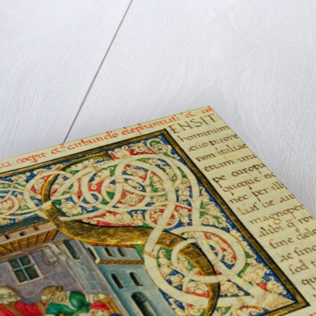 Initial S, from Pliny's Natural History. Italy, mid-15th century by Pliny the Elder