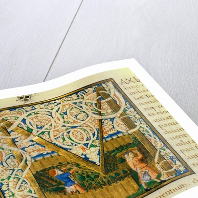 Initial M, from Pliny's Natural History. Italy, mid-15th century by Pliny the Elder