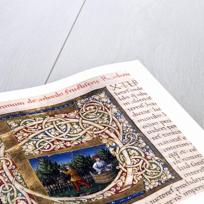 Initial E by Pliny The Elder
