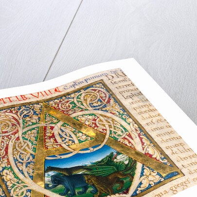 Initial A, from Pliny's Natural History. Italy, mid-15th century by Pliny the Elder