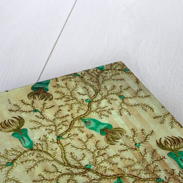 Thorn Damask wallpaper, detail by Unknown