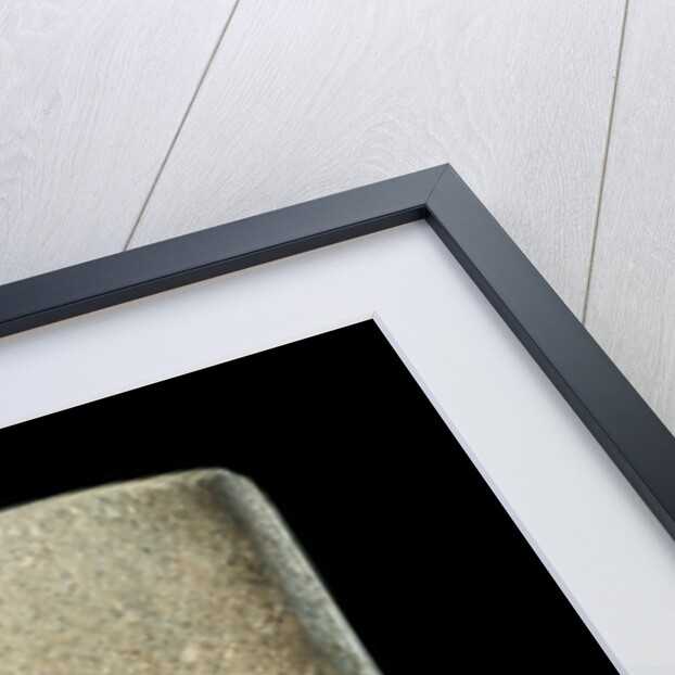 The Head of Visnu by Unknown