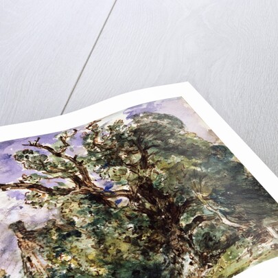 A cottage by a wood at Findon by John Constable