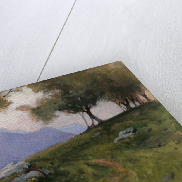 Hillside of Lake Garda by George Petrie