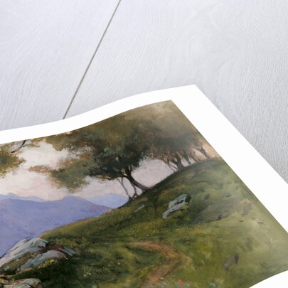 Hillside of Lake Garda by George Petrie