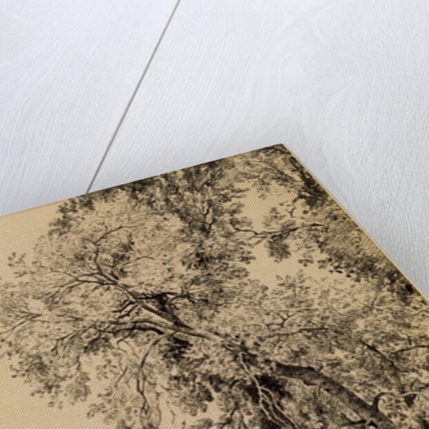 Study of Ash Trees by John Constable