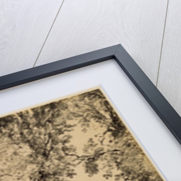 Study of Ash Trees by John Constable