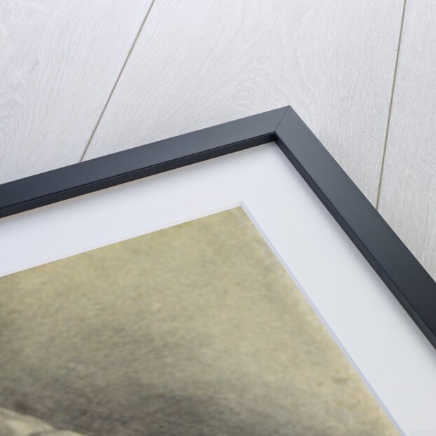 Study of the cast of The Pancastinae or Wrestlers by William Mulready